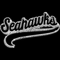 GLT78 SILVER GLITTER Thumbnail